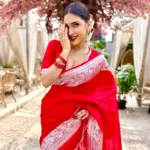 Red Banarasi Soft Silk