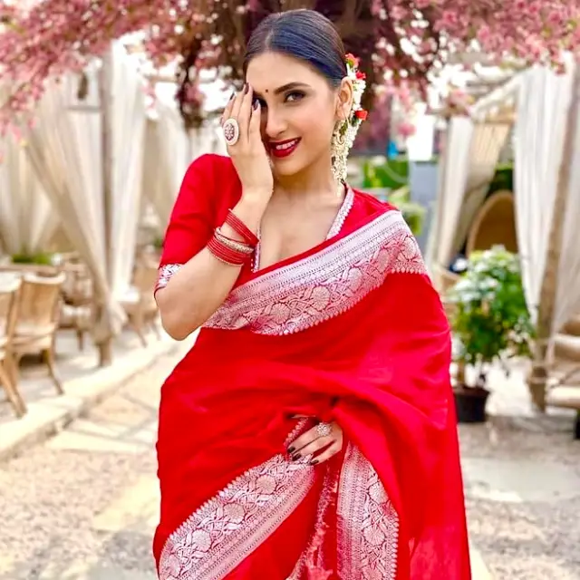 Red Banarasi Soft Silk Red Banarasi Soft Silk