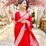 Red Banarasi Soft Silk