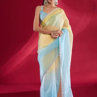 Light Blue Embellished Designer Saree